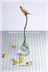 Broken - Willi Ray - 9781939761606