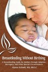 Breastfeeding Without Birthing: A Breastfeeding Guide for Mothers through Adoption, Surrogacy, and Other Special Circumstances - Alyssa Schnell - 9781939807007