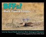 BFFs! Black-Footed Ferrets: Love for One of North Americas Most Endangered Mammals - Elaine Miller Bond - 9781943013388