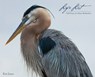 Life List - Ken Janes - 9781943424511