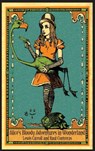 Alice's Bloody Adventures in Wonderland - CONTRERAS,  Raul Alberto ; Lewis, Carroll - 9781944068660