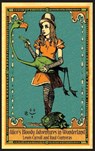 Alice's Bloody Adventures in Wonderland - Raul Alberto Contreras ; Carroll Lewis - 9781944068660
