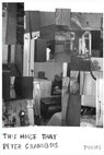 This House That - Peter Grandbois - 9781944467050