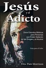 Jesús y el Adicto: Doce Estudios Bíblicos para Personas que Están Saliendo de las Drogas y Alcohol - Pam Morrison - 9781945976643