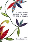 Something Small of How to See a River - Teresa Dzieglewicz - 9781946482822