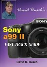 DAVID BUSCH'S Sony Alpha a99 II FAST TRACK GUIDE - David Busch - 9781946488046