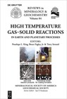 High Temperature Gas-Solid Reactions in Earth and Planetary Processes - Penelope King ; Bruce Fegley ; Terry Seward - 9781946850003
