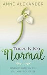 There Is No Normal - ALEXANDER,  Anne - 9781947671188