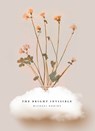 The Bright Invisible - Michael Robins - 9781947817432