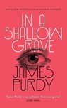 In a Shallow Grave (Valancourt 20th Century Classics) - James Purdy - 9781948405249