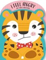 I Feel Angry - Nick Ackland - 9781948418683
