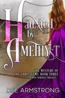 Haunted by Amethyst - Dee Armstrong - 9781949551044
