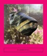Elemental: Earth Stories - Sarah Coolidge - 9781949641110