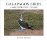 Galapagos Birds - Mathew Tekulsky - 9781951541125