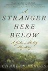 A Stranger Here Below: A Gideon Stoltz Mystery - Charles Fergus - 9781951627447