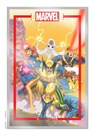 The Marvel Portfolio of David Nakayama - David Nakayama - 9781951757045