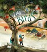 Love Birds - Jane Yolen - 9781951836405