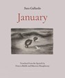 January - Sara Gallardo - 9781953861641