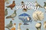 The Real Poop on Pigeons - Kevin McCloskey - 9781954084100