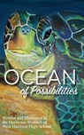 Ocean of Possibilities - Hurricane Buddies - 9781954798236