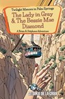 Twilight Manors in Palm Springs: The Lady in Gray & The Bessie Mae Diamond - St Sukie de la Croix - 9781955826587