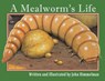 A Mealworm's Life - John Himmelman - 9781956381160