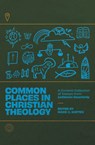 Common Places in Christian Theology: A Curated Collection of Essays from Lutheran Quarterly - Mark C. Mattes - 9781956658217