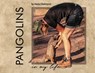Pangolins in My Life - Maria Diekmann - 9781956806977