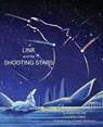 Link and the Shooting Stars - Susana Balan ; Claudia Cano - 9781956864410