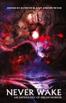 Never Wake - Eric Larocca ; Gwendolyn Kiste ; Philip Fracassi - 9781957133348