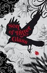 Son of Bitter Glass - K. B. Hoyle - 9781957362182