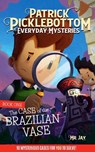 Patrick Picklebottom Everyday Mysteries: Book One: The Case of the Brazilian Vase - MR Jay - 9781958514078