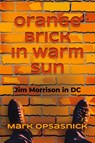 Orange Brick in Warm Sun - Mark Opsasnick - 9781958890660