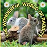 The Wonderful World of Rabbits: Interesting Facts About Rabbits - Mimi Jones - 9781958985441