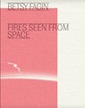 Fires Seen from Space - Betsy Fagin - 9781959708117