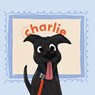 My Best Friend Charlie - Dana Seguin - 9781960596802