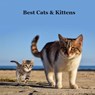 Best Cats and Kittens for Kids Book: Great Way for Children to Meet the Best Pet Cat and Kitten Breeds - Kinsey Marie - 9781960612809