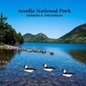 Acadia National Park Animals and Attractions Kids Book: Great Way for Kids to See the Animals and Attractions in Acadia National Park - Kinsey Marie - 9781960612915