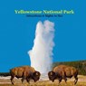 Yellowstone Park Attractions and Sights to See Kids Book: Great Book for kids about Yellowstone National Park - Kinsey Marie - 9781960612984