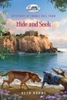 Hide and Seek - Beth Adams - 9781961251434