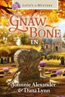 Love's a Mystery in Gnaw Bone, Indiana - Johnnie Alexander - 9781961441453
