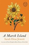A Marsh Island - Sarah Orne Jewett - 9781961884854