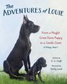 The Adventures of Louie: From a Playful Great Dane Puppy to a Gentle Giant - G. S. Craft - 9781962561563