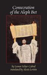 Consecration of the Aleph Bet - Leonor Scliar-Cabral - 9781963475548