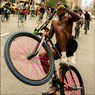 Bike Life - Brian FInke - 9781963814255