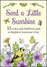 Send a Little Sunshine: 24 Color-And-Mail Postcards to Brighten Someone's Day - Good Books - 9781964219080