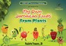 My own Jamaican foods from plants - Paulette Trowers - 9781964243610