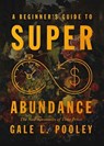 A Beginner's Guide to Superabundance: The New Economics of Time Prices - Gale L. Pooley - 9781964524504