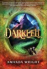 Darkfell - Amanda Wright - 9781964726052