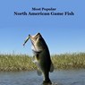 Most Popular North American Game Fish Species Kids Book: Great Book for Children of All Ages About the North American Game Fish Species - Kinsey Marie - 9781965098288